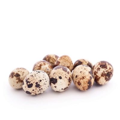 ЭКО ферма Quail